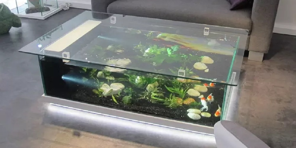 Coffee table with a fish tank